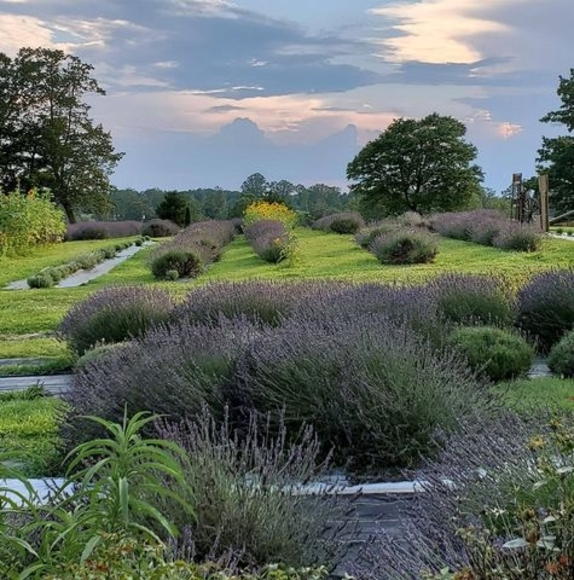 Meet your Posher, Cindy - Picture 1 of 1